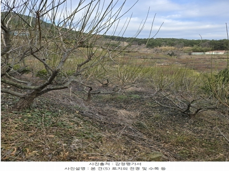 2024타경6563 경상남도 남해군 설천면 금음리 1271 주택 경매 이미지