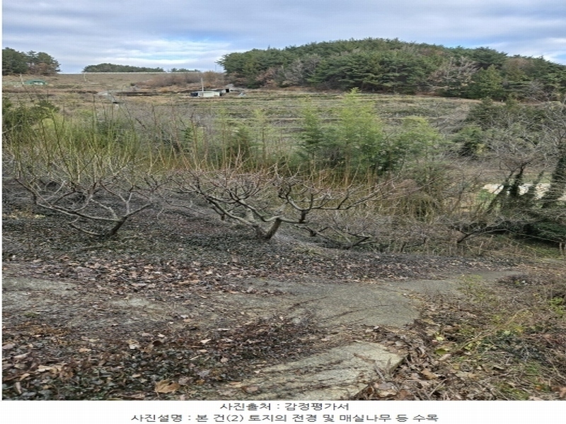 2024타경6563 경상남도 남해군 설천면 금음리 1271 주택 경매 이미지