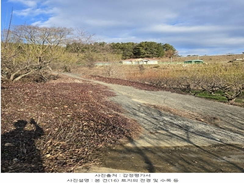 2024타경6563 경상남도 남해군 설천면 금음리 1271 주택 경매 이미지