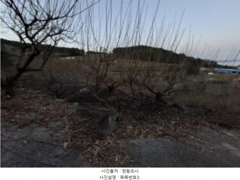 2024타경6563 경상남도 남해군 설천면 금음리 1271 주택 경매 이미지