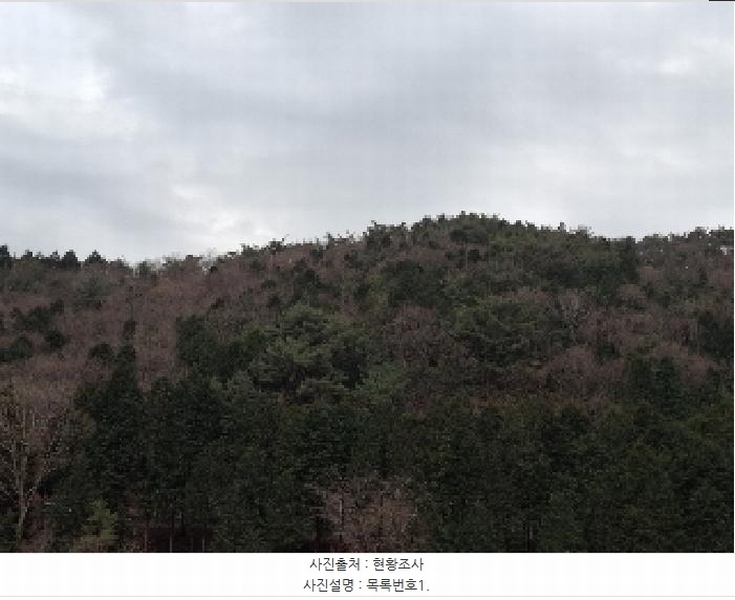 2024타경6761 경상남도 남해군 미조면 송정리 산92-4 임야 경매 이미지