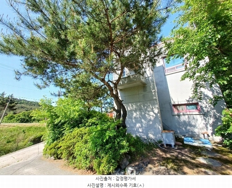 2024타경33503 경상남도 하동군 진교면 안심리 181-1 공장 경매 이미지