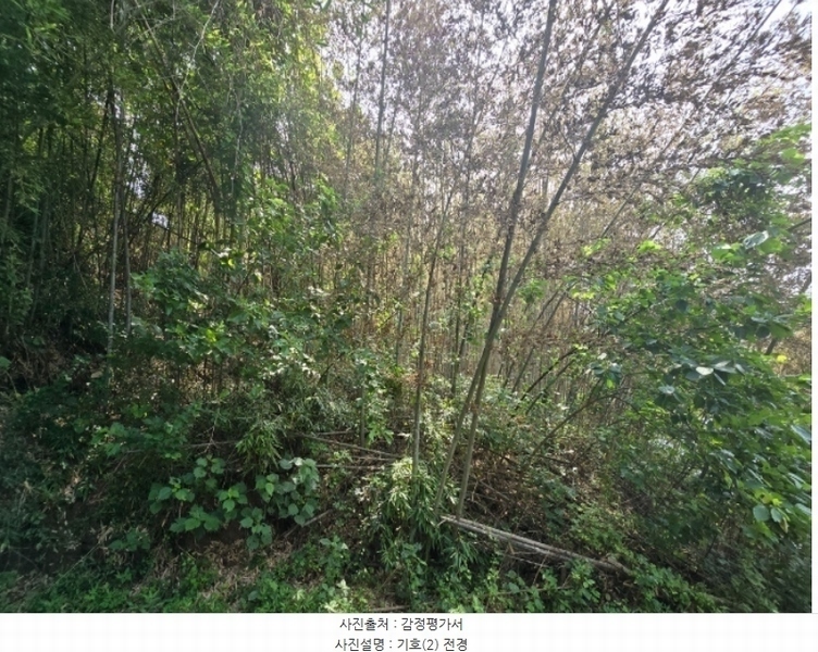 2024타경35042 경상남도 진주시 집현면 대암리 484-2 대지 경매 이미지