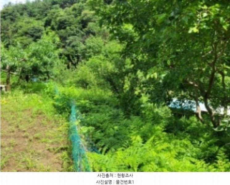 2024타경35738 경상남도 진주시 집현면 사촌리 766 과수원 경매 이미지