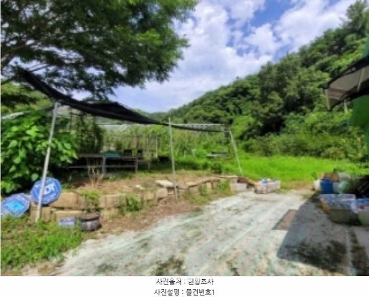 2024타경35738 경상남도 진주시 집현면 사촌리 766 과수원 경매 이미지