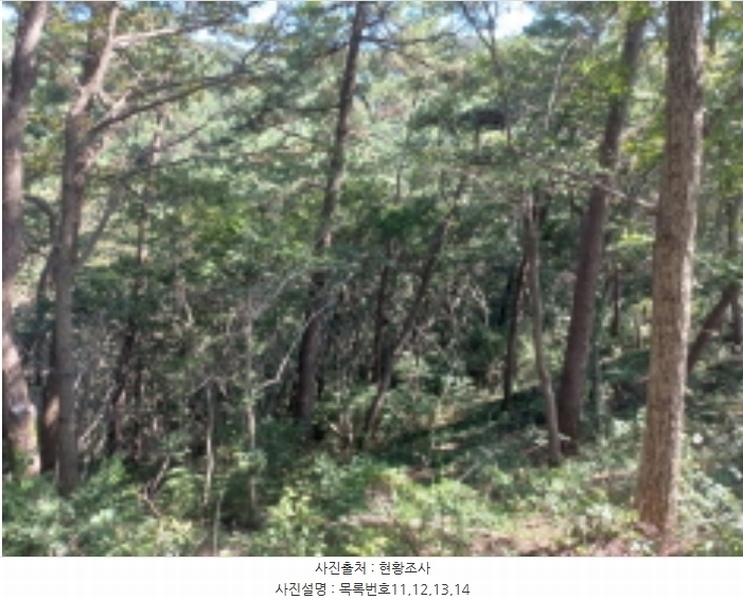 2024타경36441 경상남도 남해군 창선면 옥천리 1088 농지 경매 이미지