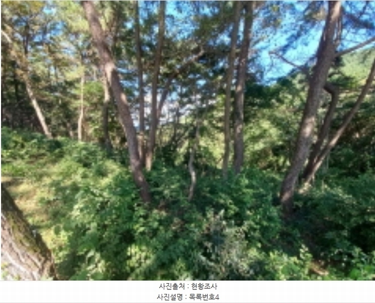 2024타경36441 경상남도 남해군 창선면 옥천리 1088 농지 경매 이미지