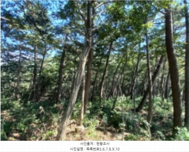 2024타경36441 경상남도 남해군 창선면 옥천리 1088 농지 경매 이미지