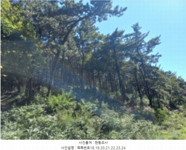 2024타경36441 경상남도 남해군 창선면 옥천리 1088 농지 경매 이미지