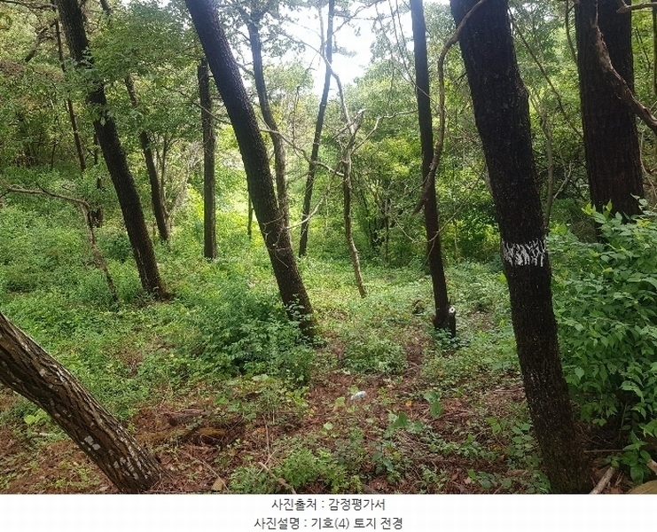 2024타경36441 경상남도 남해군 창선면 옥천리 1088 농지 경매 이미지