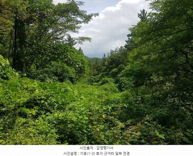 2024타경36441 경상남도 남해군 창선면 옥천리 1088 농지 경매 이미지