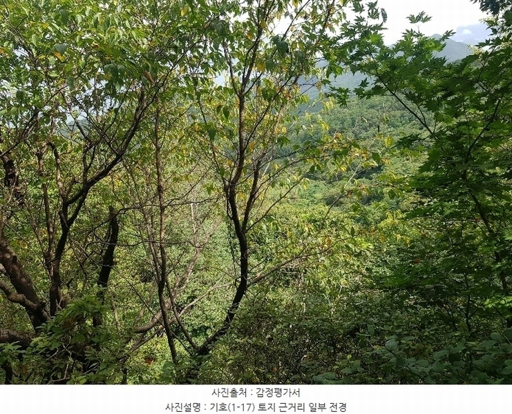 2024타경36441 경상남도 남해군 창선면 옥천리 1088 농지 경매 이미지