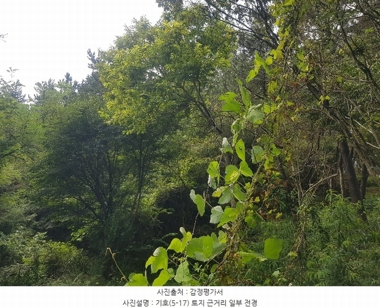 2024타경36441 경상남도 남해군 창선면 옥천리 1088 농지 경매 이미지