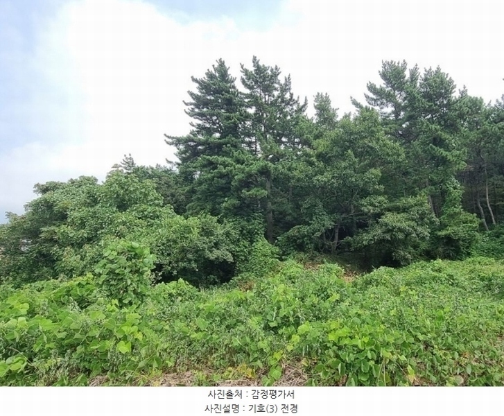 2024타경37086 경상남도 남해군 서면 작장리 산124 임야 경매 이미지