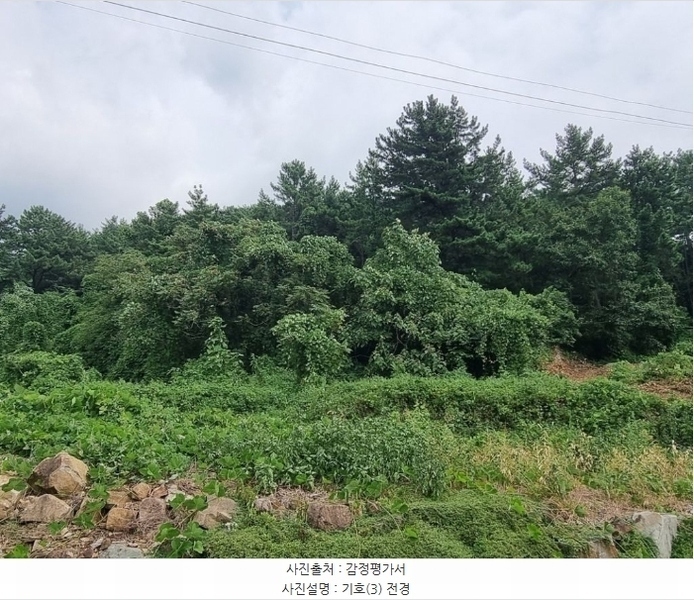 2024타경37086 경상남도 남해군 서면 작장리 산124 임야 경매 이미지