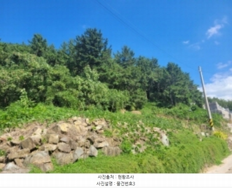 2024타경37086 경상남도 남해군 서면 작장리 산124 임야 경매 이미지
