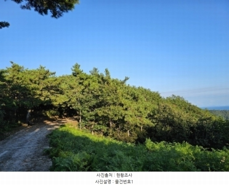 2024타경37284 경상남도 남해군 창선면 진동리 산220 임야 경매 이미지