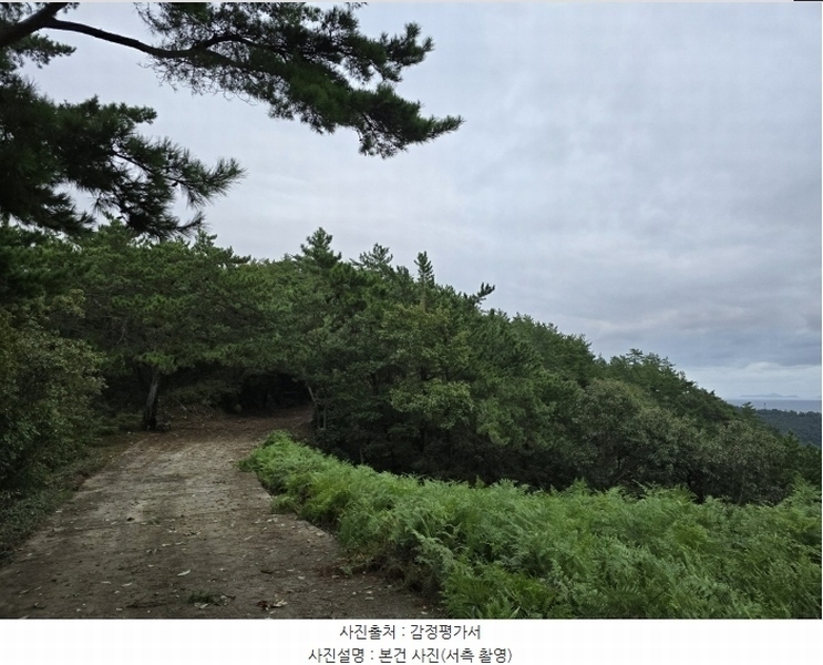2024타경37284 경상남도 남해군 창선면 진동리 산220 임야 경매 이미지