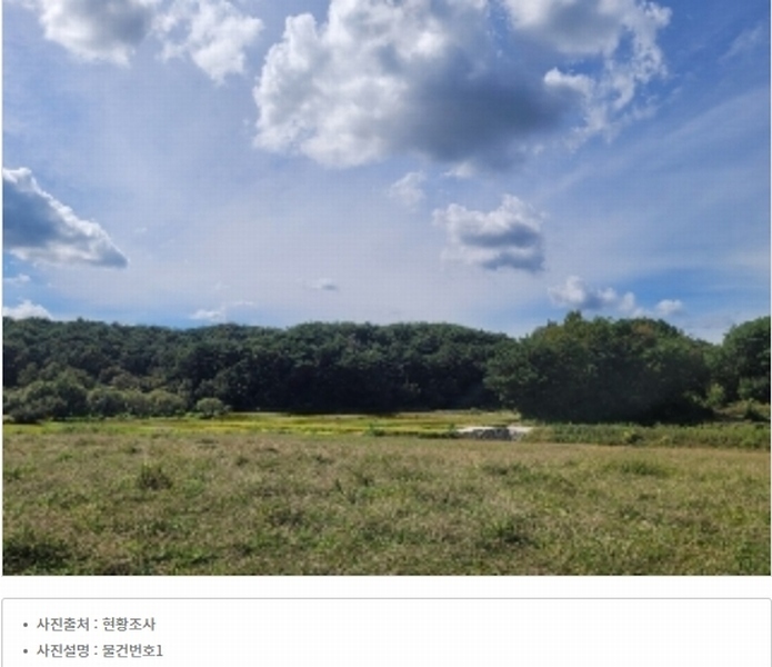 2024타경37437 경상남도 하동군 옥종면 대곡리 산21-1 임야 경매 이미지