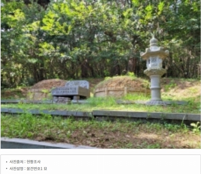 2024타경37437 경상남도 하동군 옥종면 대곡리 산21-1 임야 경매 이미지