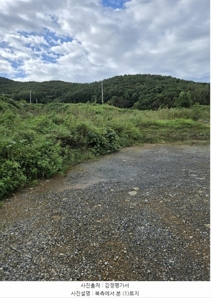 2024타경37567 경상남도 남해군 남면 당항리 1371-1 농지 경매 이미지