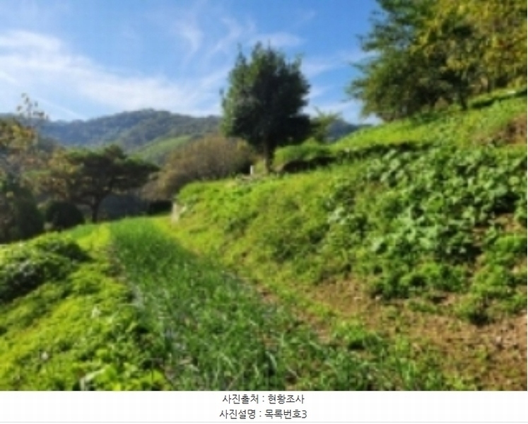2024타경37833 경상남도 진주시 금곡면 두문리 1039-10 주택 경매 이미지
