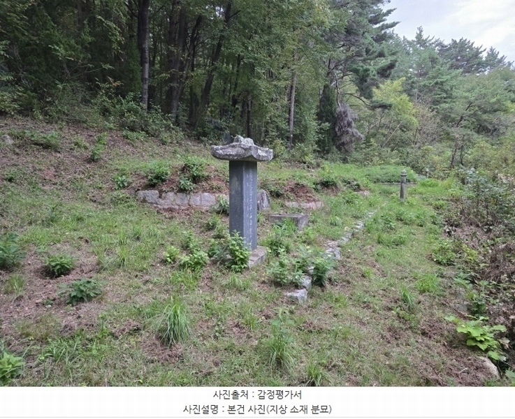 2024타경38201 경상남도 사천시 용현면 석계리 산60-3 임야 경매 이미지