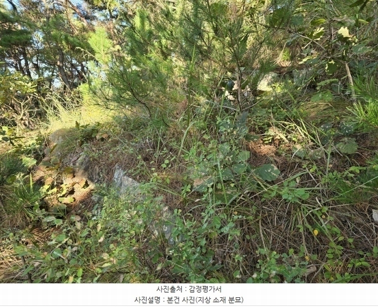 2024타경38201 경상남도 사천시 용현면 석계리 산60-3 임야 경매 이미지