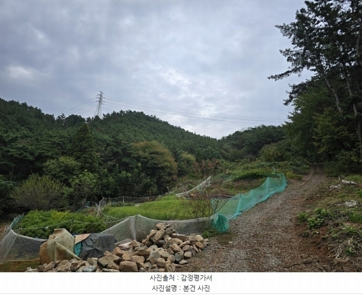 2024타경38201 경상남도 사천시 용현면 석계리 산60-3 임야 경매 이미지
