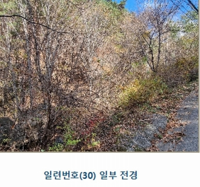 2024타경39297 경상남도 하동군 악양면 신흥리 1 종교시설 경매 이미지