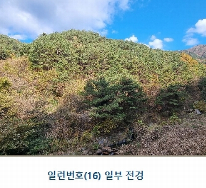2024타경39297 경상남도 하동군 악양면 신흥리 1 종교시설 경매 이미지