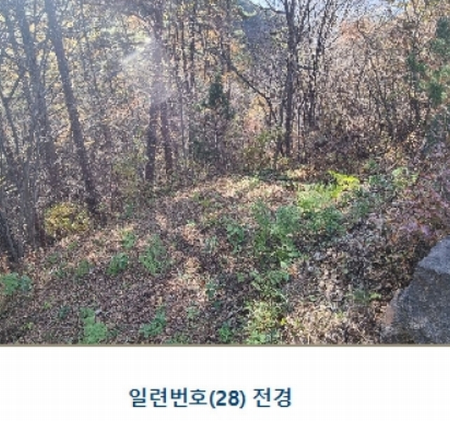 2024타경39297 경상남도 하동군 악양면 신흥리 1 종교시설 경매 이미지
