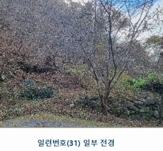 2024타경39297 경상남도 하동군 악양면 신흥리 1 종교시설 경매 이미지