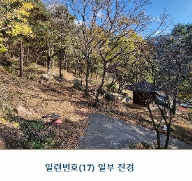 2024타경39297 경상남도 하동군 악양면 신흥리 1 종교시설 경매 이미지