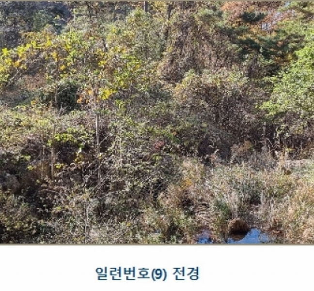 2024타경39297 경상남도 하동군 악양면 신흥리 1 종교시설 경매 이미지
