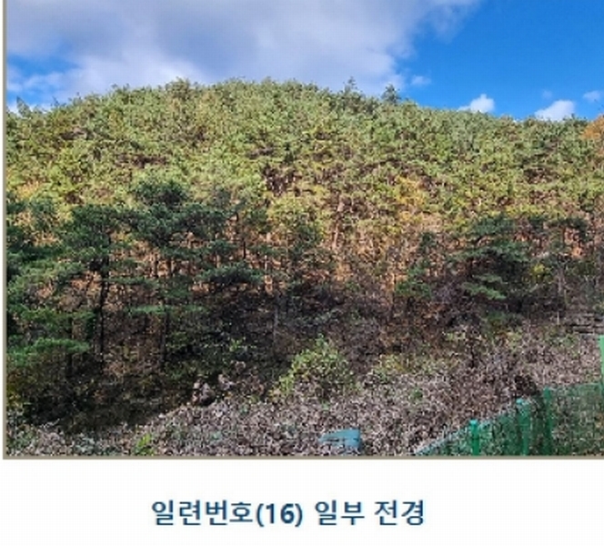 2024타경39297 경상남도 하동군 악양면 신흥리 1 종교시설 경매 이미지