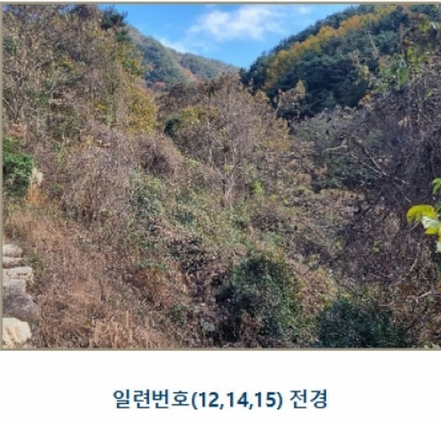 2024타경39297 경상남도 하동군 악양면 신흥리 1 종교시설 경매 이미지