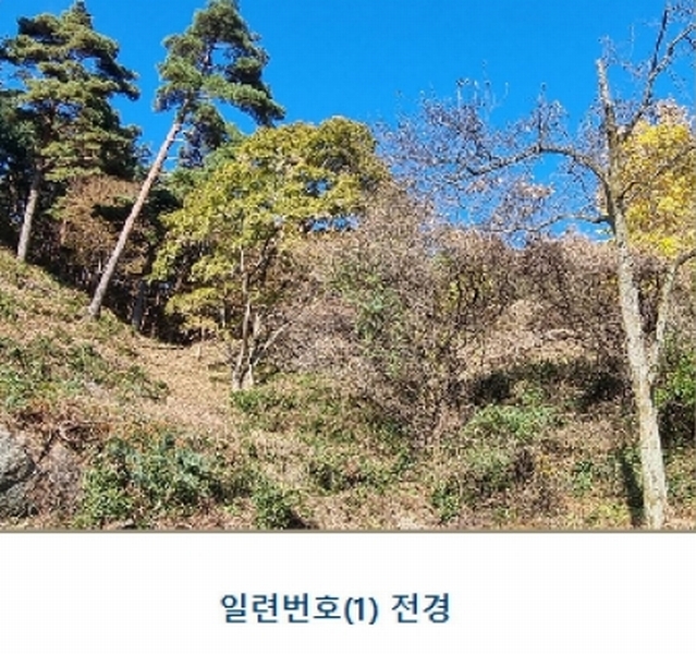 2024타경39297 경상남도 하동군 악양면 신흥리 1 종교시설 경매 이미지