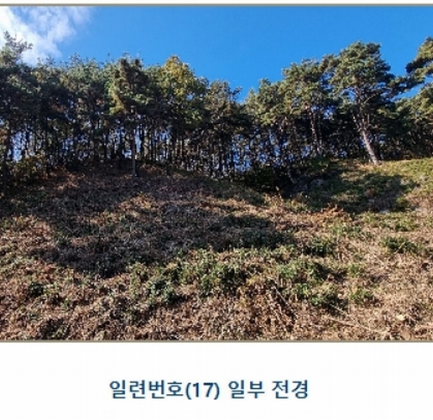 2024타경39297 경상남도 하동군 악양면 신흥리 1 종교시설 경매 이미지