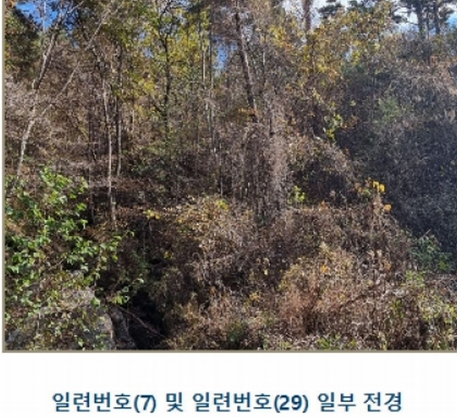 2024타경39297 경상남도 하동군 악양면 신흥리 1 종교시설 경매 이미지