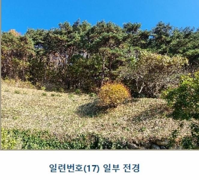 2024타경39297 경상남도 하동군 악양면 신흥리 1 종교시설 경매 이미지
