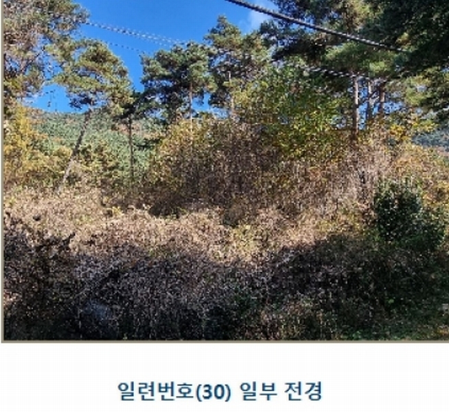 2024타경39297 경상남도 하동군 악양면 신흥리 1 종교시설 경매 이미지