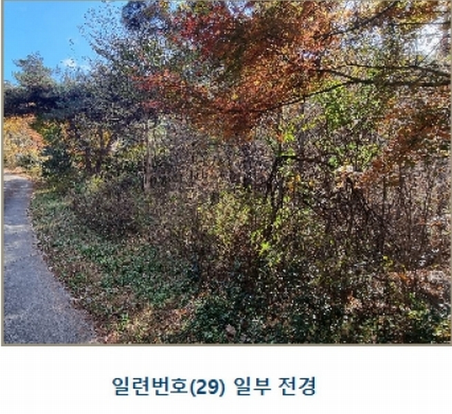 2024타경39297 경상남도 하동군 악양면 신흥리 1 종교시설 경매 이미지