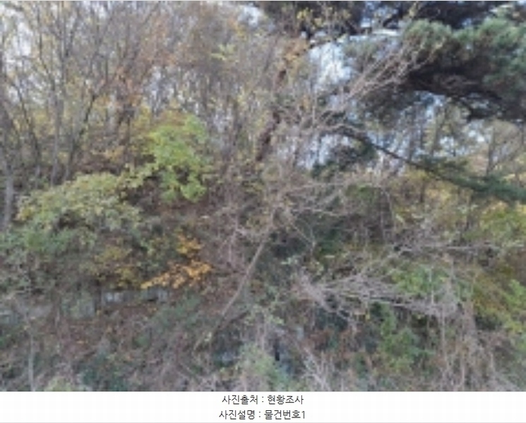 2024타경39433 경상남도 사천시 서포면 구랑리 산85 임야 경매 이미지