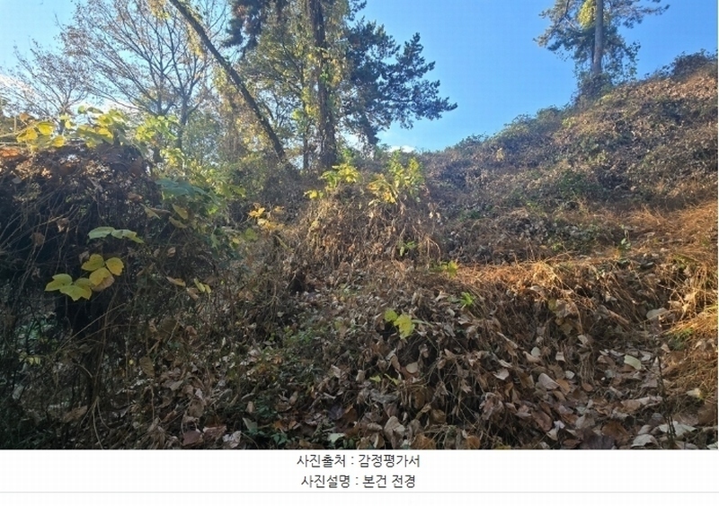 2024타경39433 경상남도 사천시 서포면 구랑리 산85 임야 경매 이미지