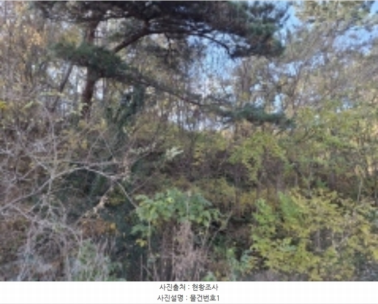 2024타경39433 경상남도 사천시 서포면 구랑리 산85 임야 경매 이미지