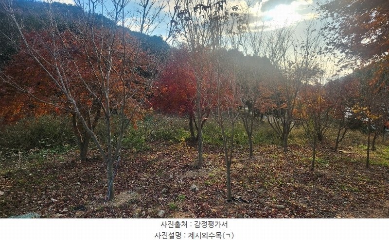 2024타경39808 경상남도 남해군 상주면 상주리 519-5 농지 경매 이미지