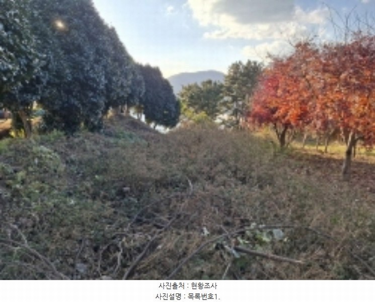 2024타경39808 경상남도 남해군 상주면 상주리 519-5 농지 경매 이미지
