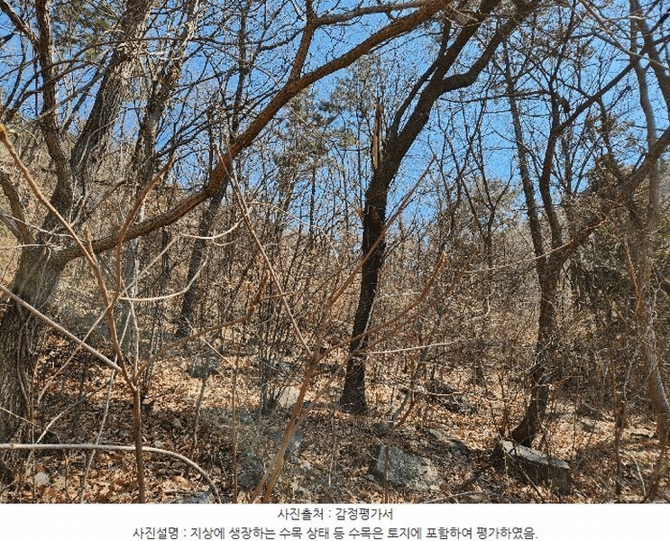 2025타경30604 경상남도 사천시 실안동 산235 임야 경매 이미지