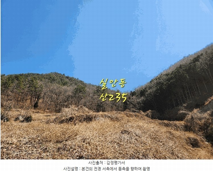 2025타경30604 경상남도 사천시 실안동 산235 임야 경매 이미지